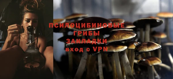 PSILOCYBIN Армянск