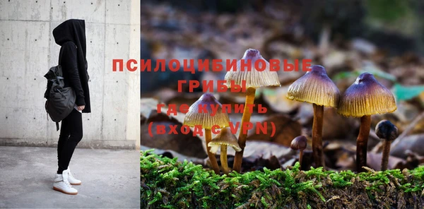 mix Аркадак