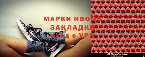 PSILOCYBIN Армянск