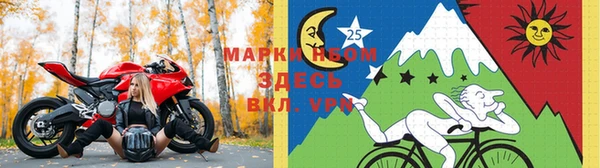 PSILOCYBIN Армянск